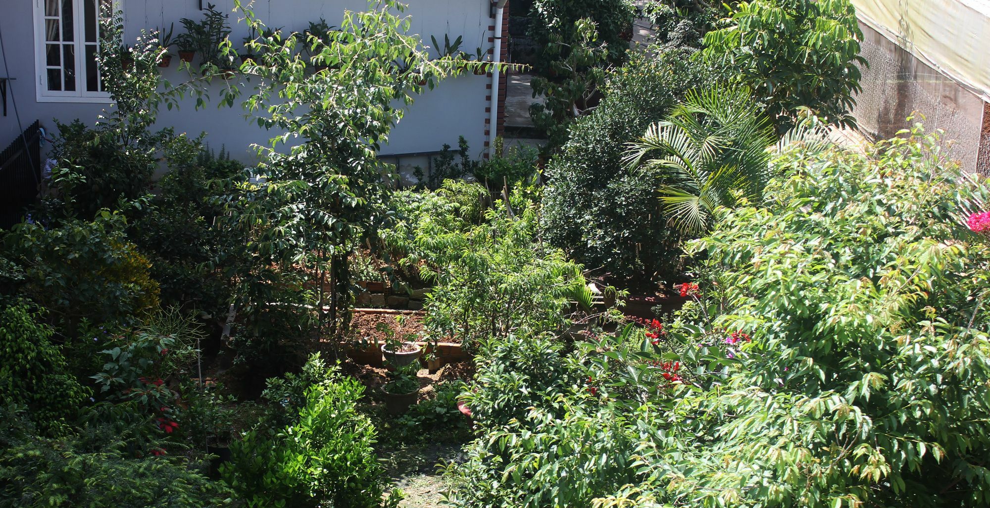 Tree House Hostel Dalat Exteriér fotografie
